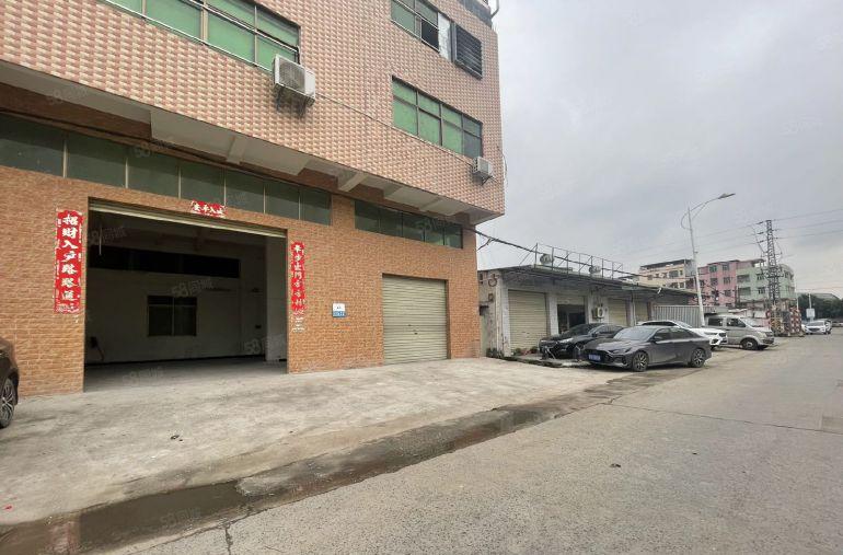 塘厦石鼓大路边一楼238平仓库厂房出租，现成装修原房东直租