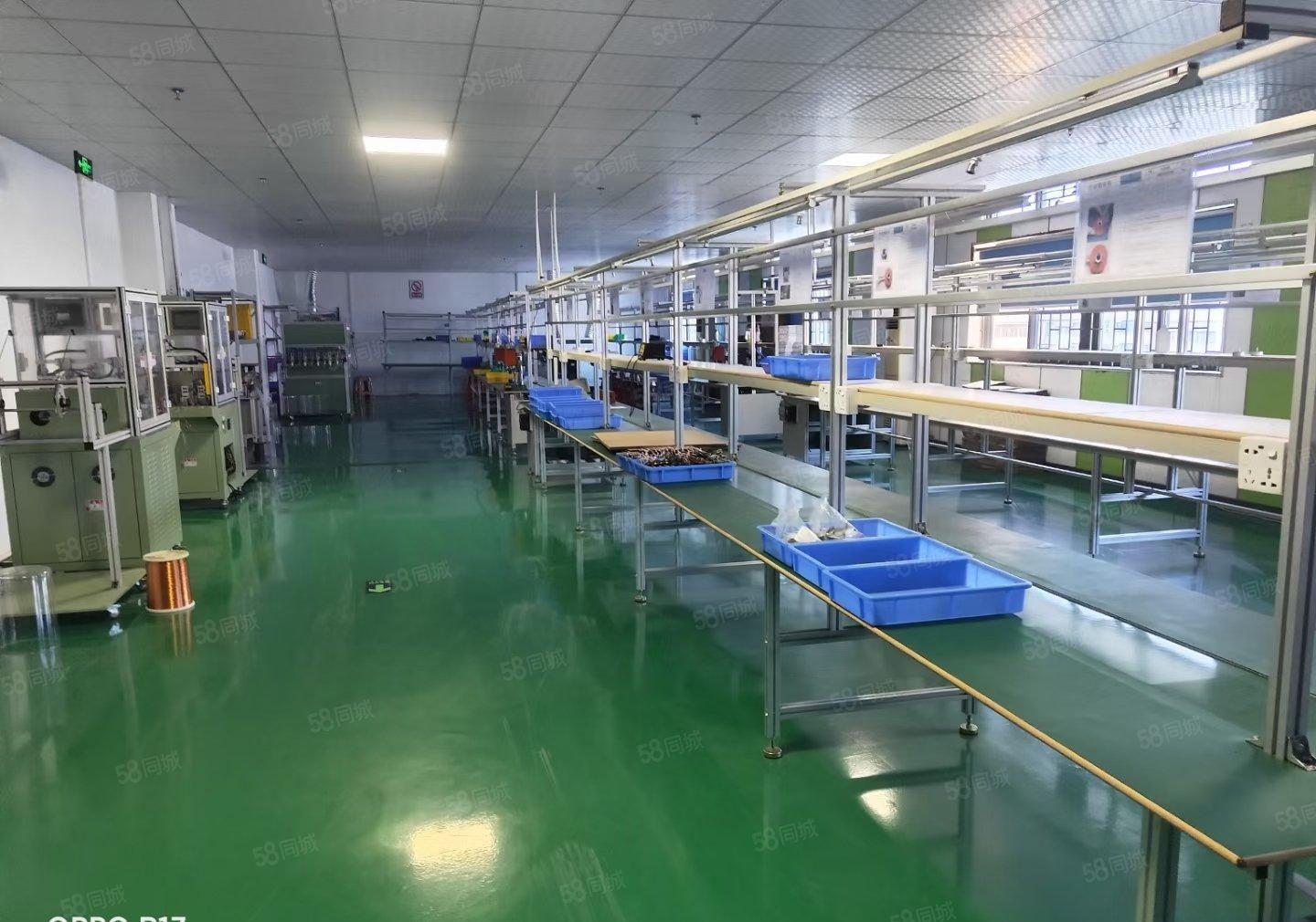 塘厦科苑城工业区原房东楼上1600平方红本标准仓库厂房出租可