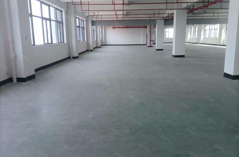 塘厦镇环市南路边全新红本工业园标准一楼和二楼以上厂房分层出租