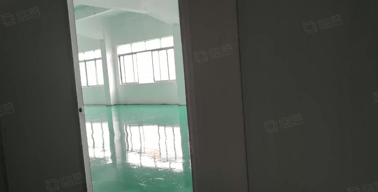 300平起出租塘厦科苑城独院1200平全新地坪漆水电已到车间