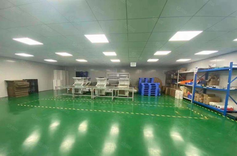 无转让费塘厦原房东独院厂房1280平豪华装修无尘车间 可分租