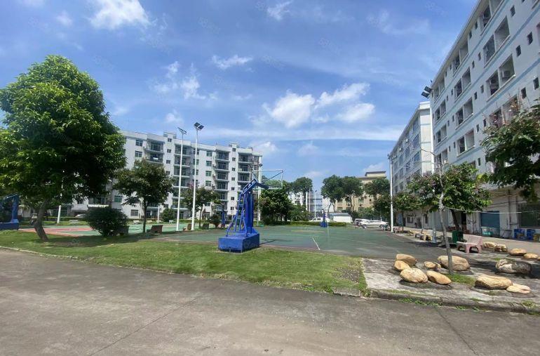 0公摊塘厦全新豪华装修楼上980平方