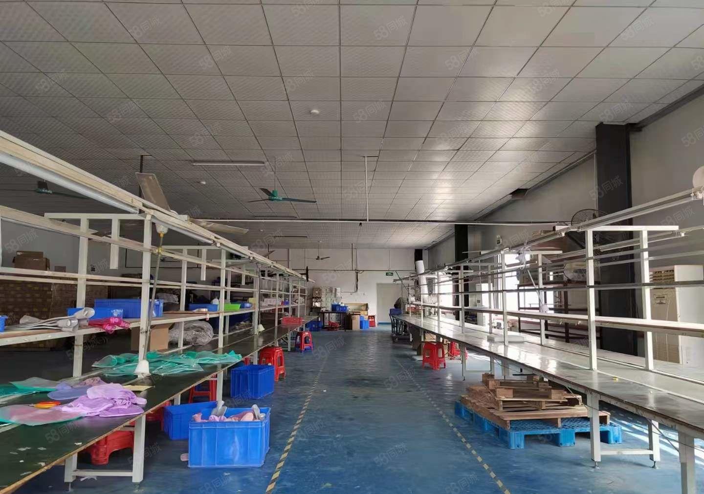 塘厦标准楼上500平厂房出租现成装修便宜地段好空地超大免费用