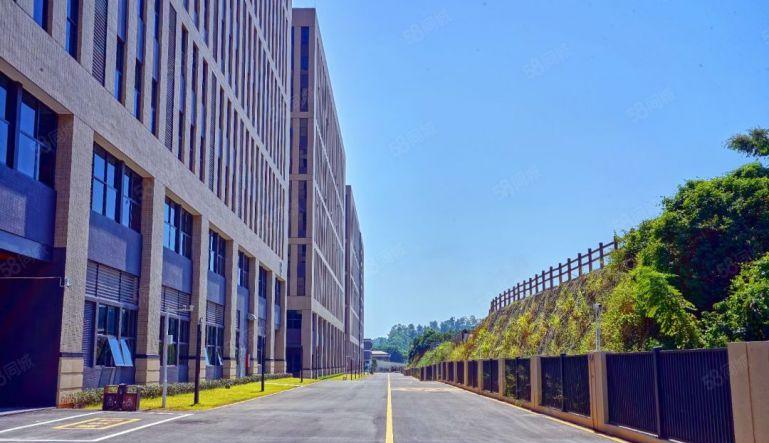 塘厦大坪靠观澜新出独院35万平带装修厂房仓库出租，大小分租