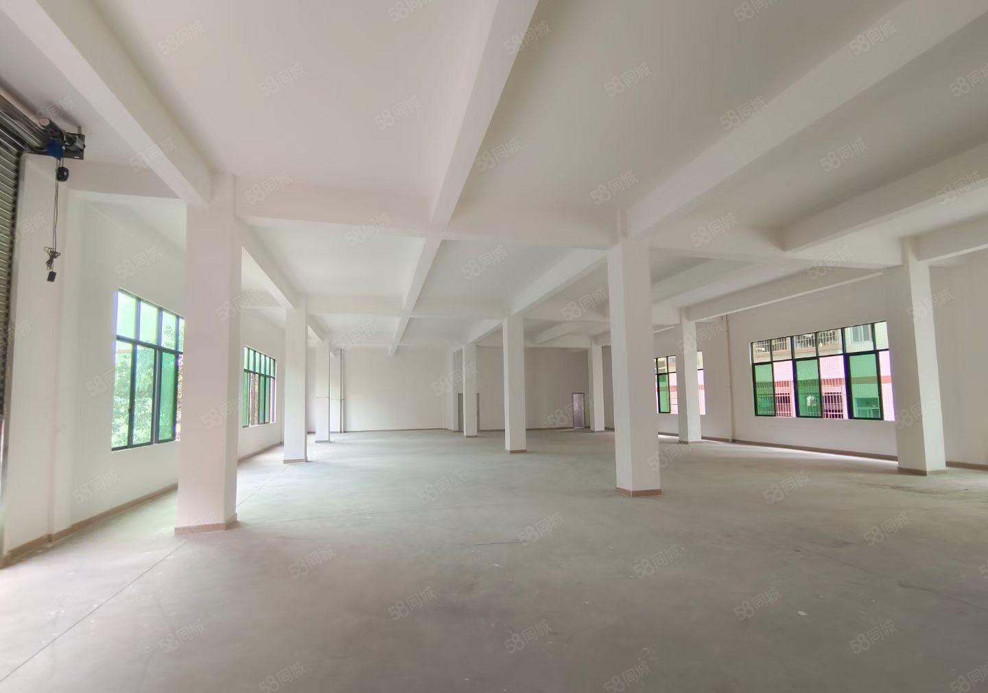 龙背岭原房东全新厂房出租，交通方便，易招工！