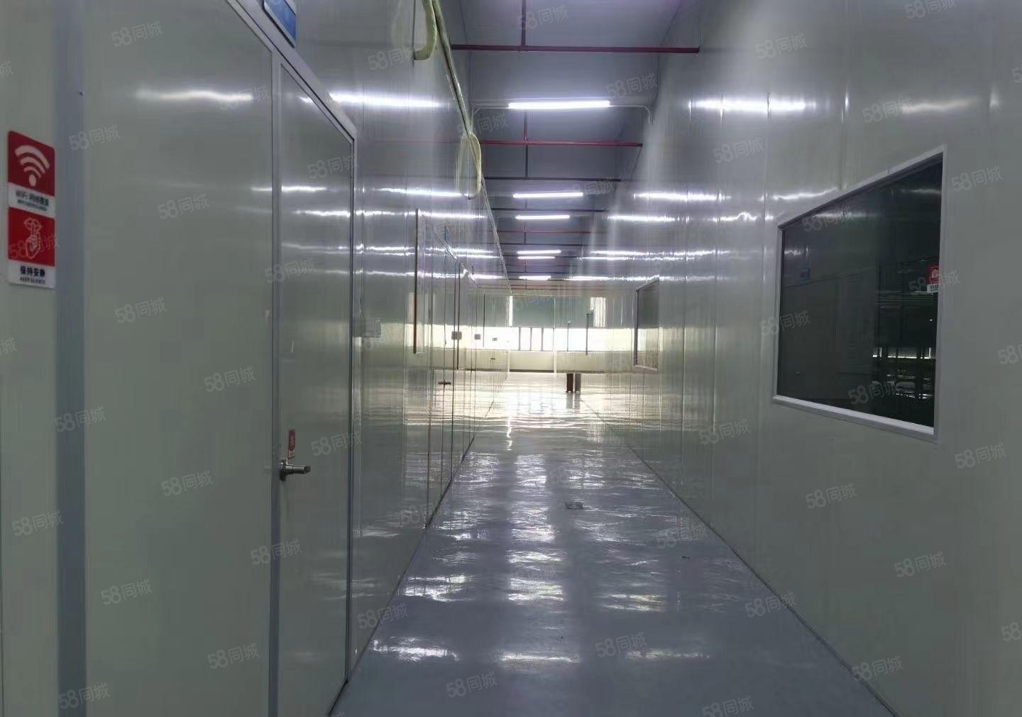 塘厦镇科苑城带装修红本厂房楼上3000平方