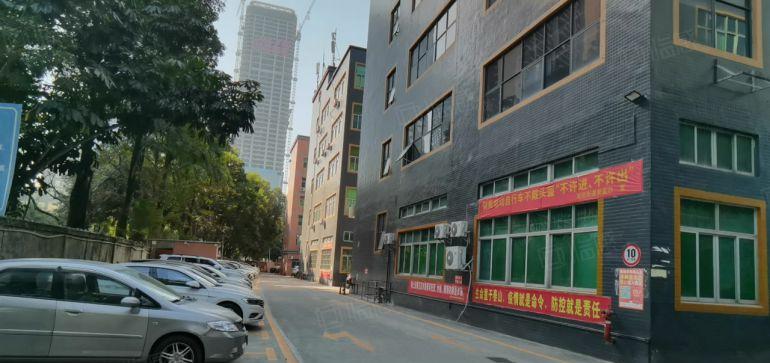 15元租塘厦大坪厂房出租花园式5000平方100平起租