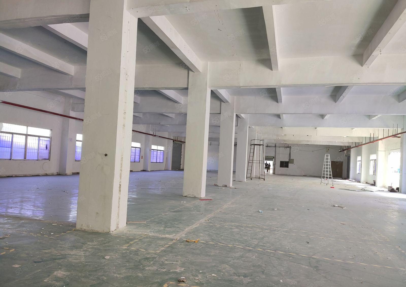 塘厦138工业区独栋一楼1600平红本标准仓库厂房出租可分租