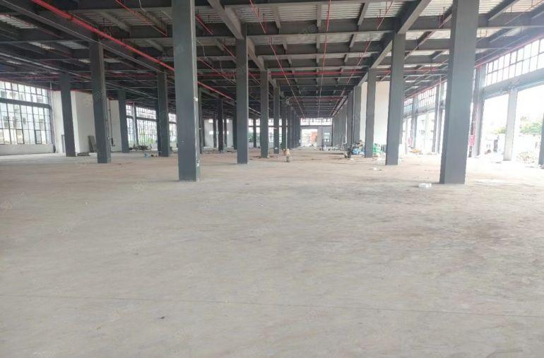 塘厦原房东新建物流仓库17500平方，带消防喷淋卸货平台