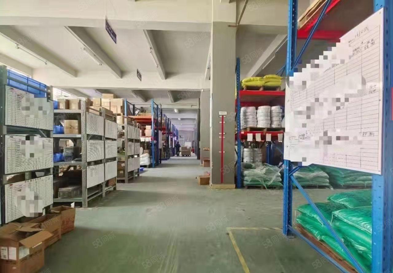 东莞市塘厦镇科苑城新出标准厂房4000平米出租