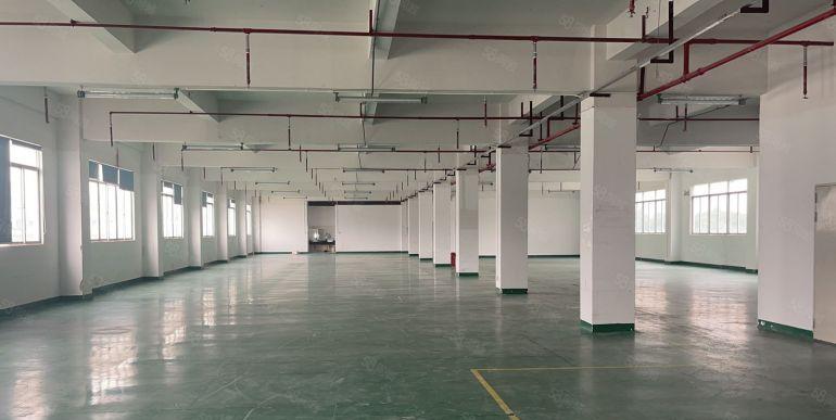 塘厦田心2楼精装修1760平低价出租有地坪漆消防喷淋车间敞亮