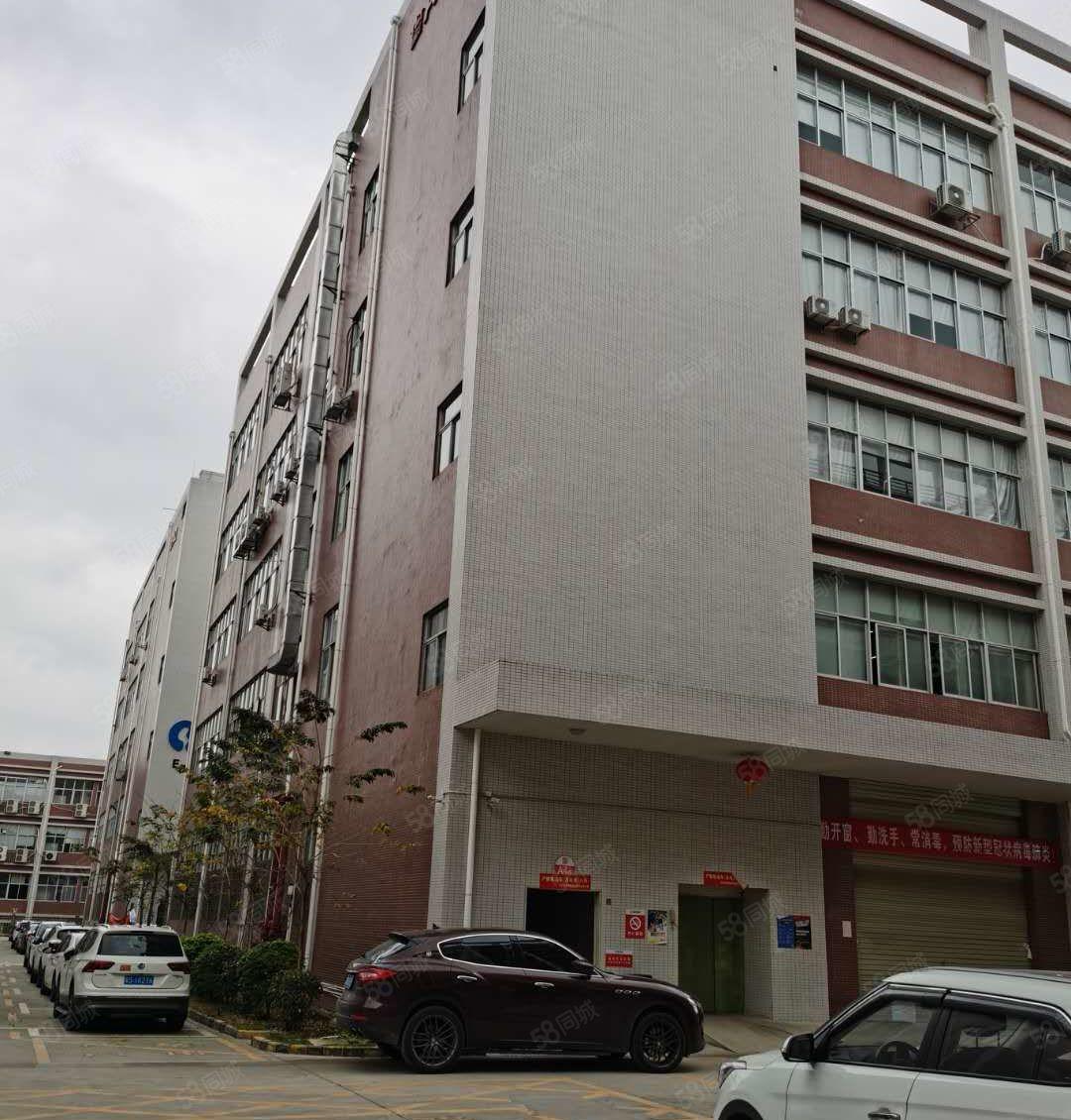 塘厦科苑城新出楼上2000平方无尘车间厂房出租水电齐全有红本