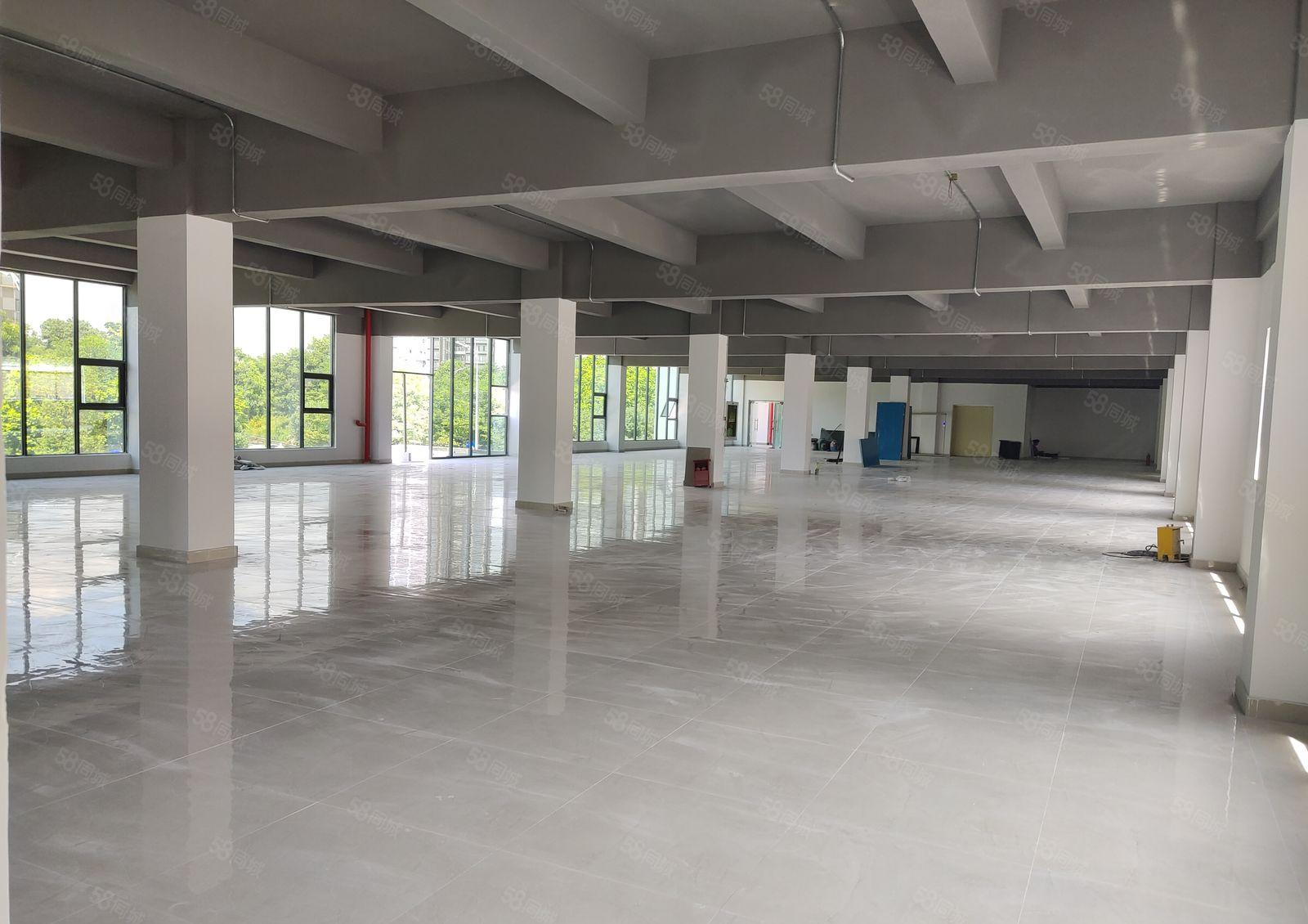 塘厦田心工业区独栋1000平原房东红本楼上仓库厂房出租可分租