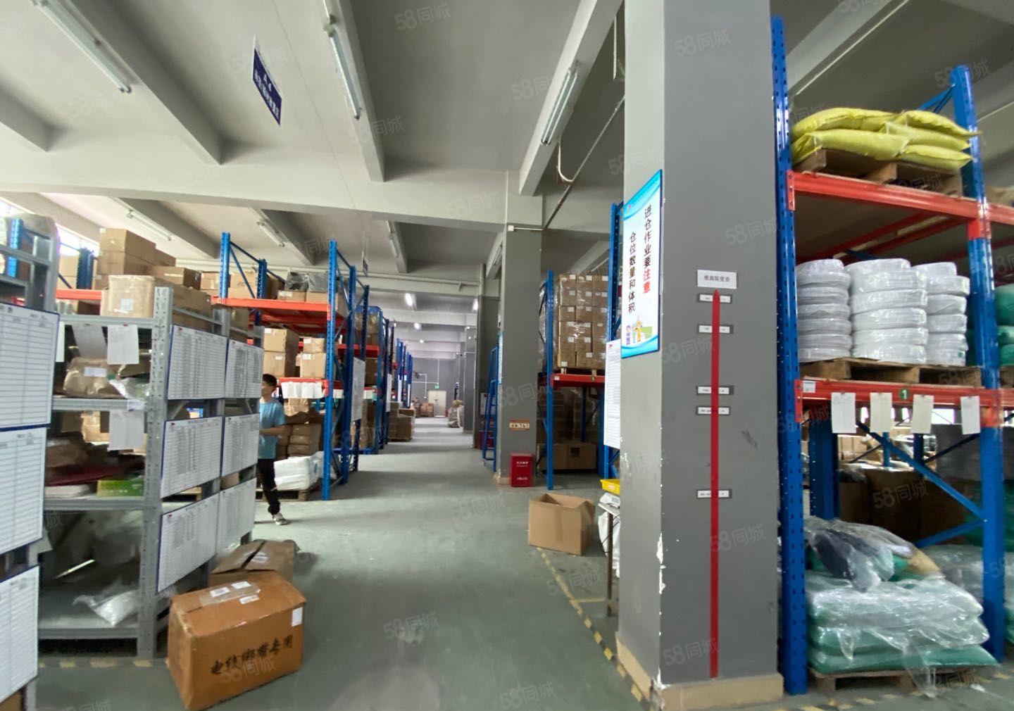 塘厦 科苑城新出原房东红本独院4200平厂房仓库出租大小分租