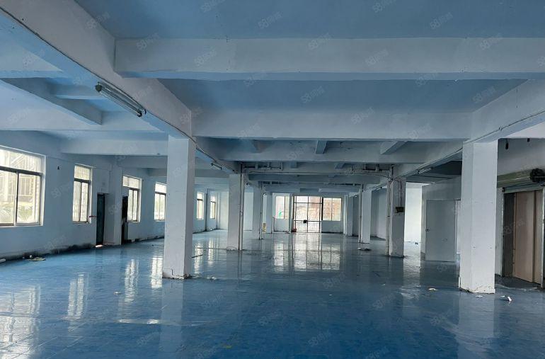 塘厦128工业区新出3楼1000平，全层蓝色地坪漆，水电齐全