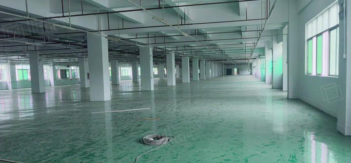 10元起塘厦科苑城楼上2000平厂房出租仓库出租独院独栋分租