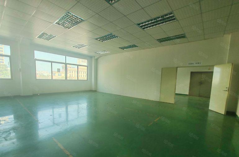 塘厦新空原房东标准厂房三楼550平，带装修水电地坪漆拎包生产