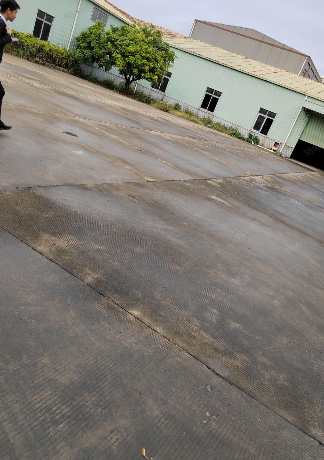 大进工业园低价新出超大空地单一层独院厂房出租