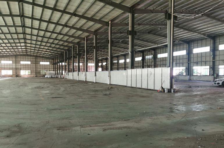 塘厦新出（一手原房东）砖墙到顶单一层1500平，滴水9米