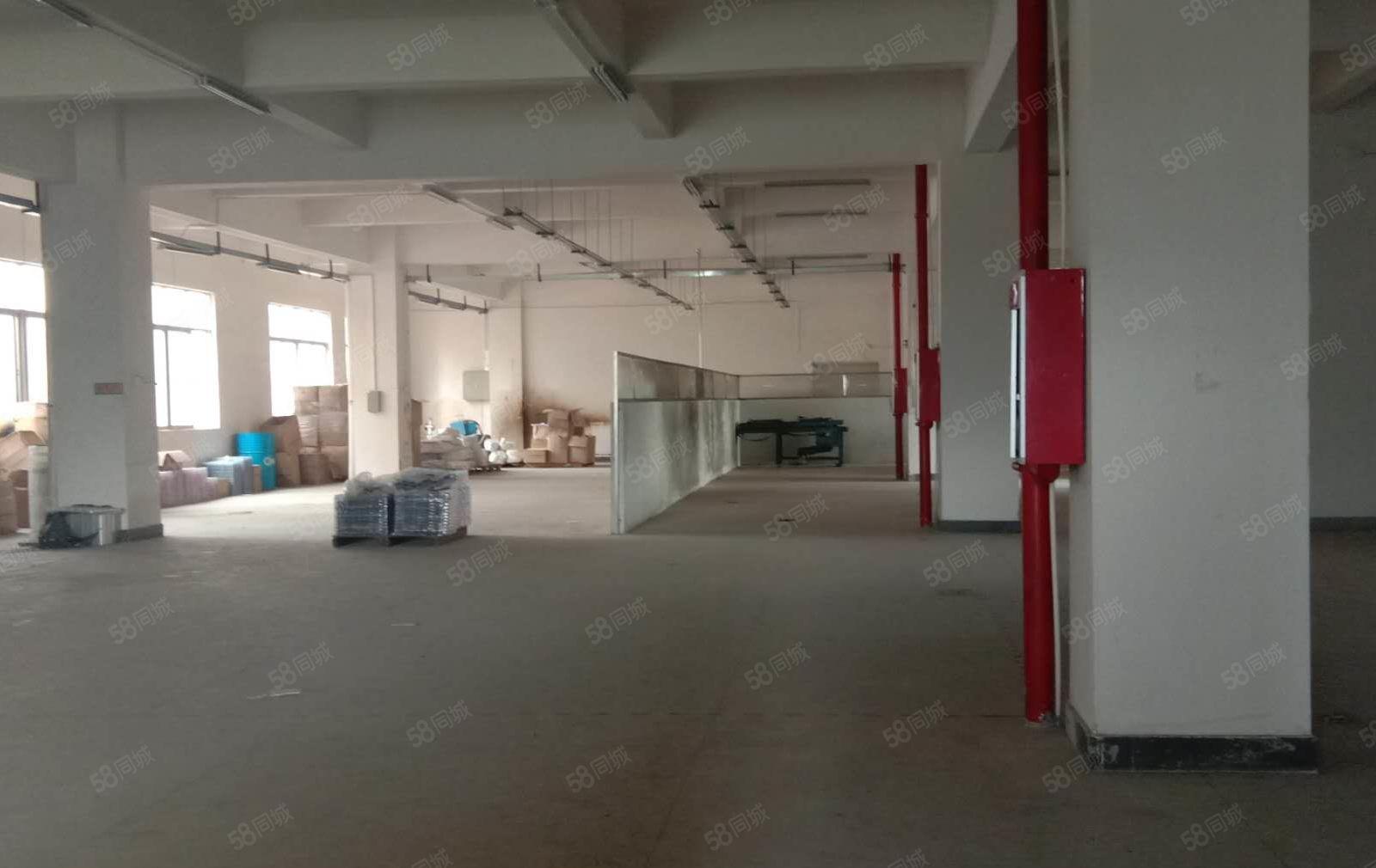 货车可直接开到厂门口，大坪临深新出1楼1000平方厂房出租