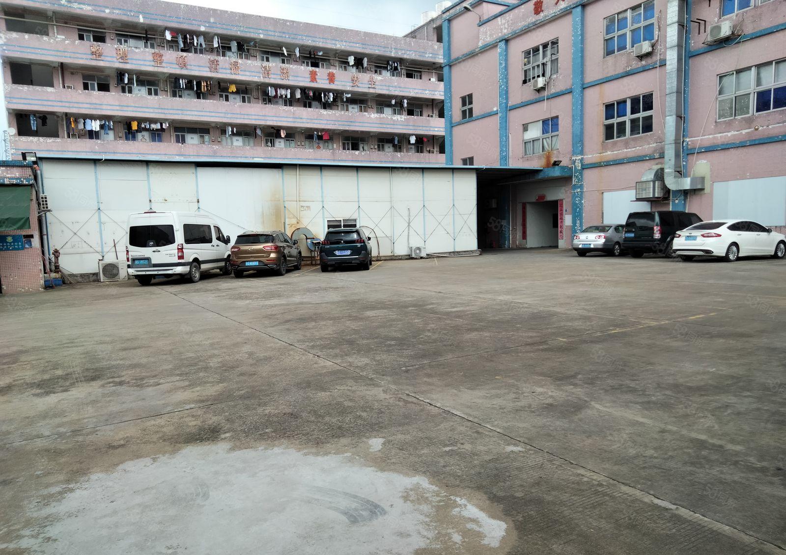 塘厦镇莲湖原房东单一层500平方