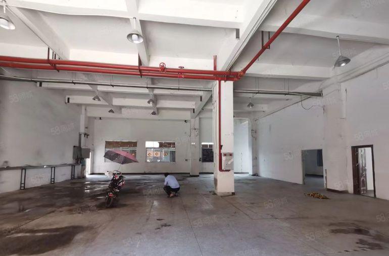 塘厦大坪独院标准1楼680平方，高度6米，丙二类消防齐全！