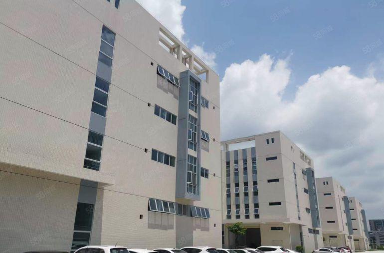 塘厦原房东自建厂房，带红本，8000万平米出租，可分租