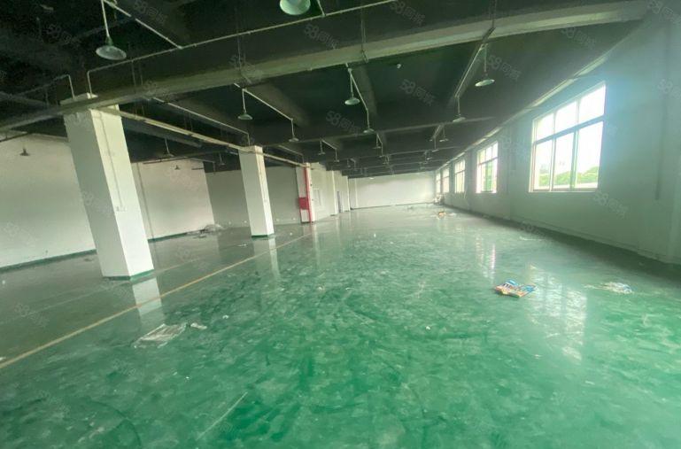 塘厦诸佛岭独院3楼1120平方！现成地坪漆办公室精装修