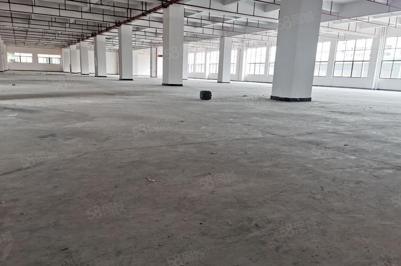 塘厦高速口价格美带卸货平台一楼1000平，丙二类消防仓库厂房