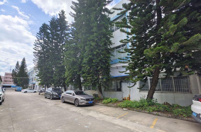 塘厦大坪高速出口科苑城19.9的层高4.8米一楼900平方