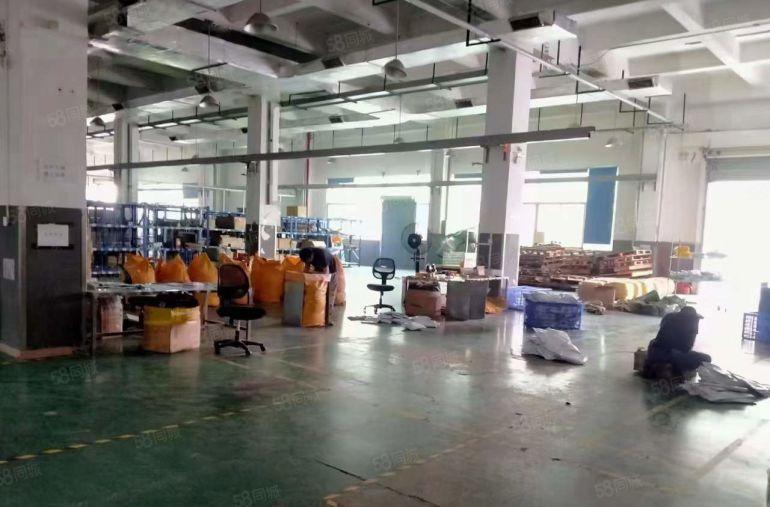 塘厦大坪新出一楼1200平物流仓，空地大，可进拖挂车，水电齐