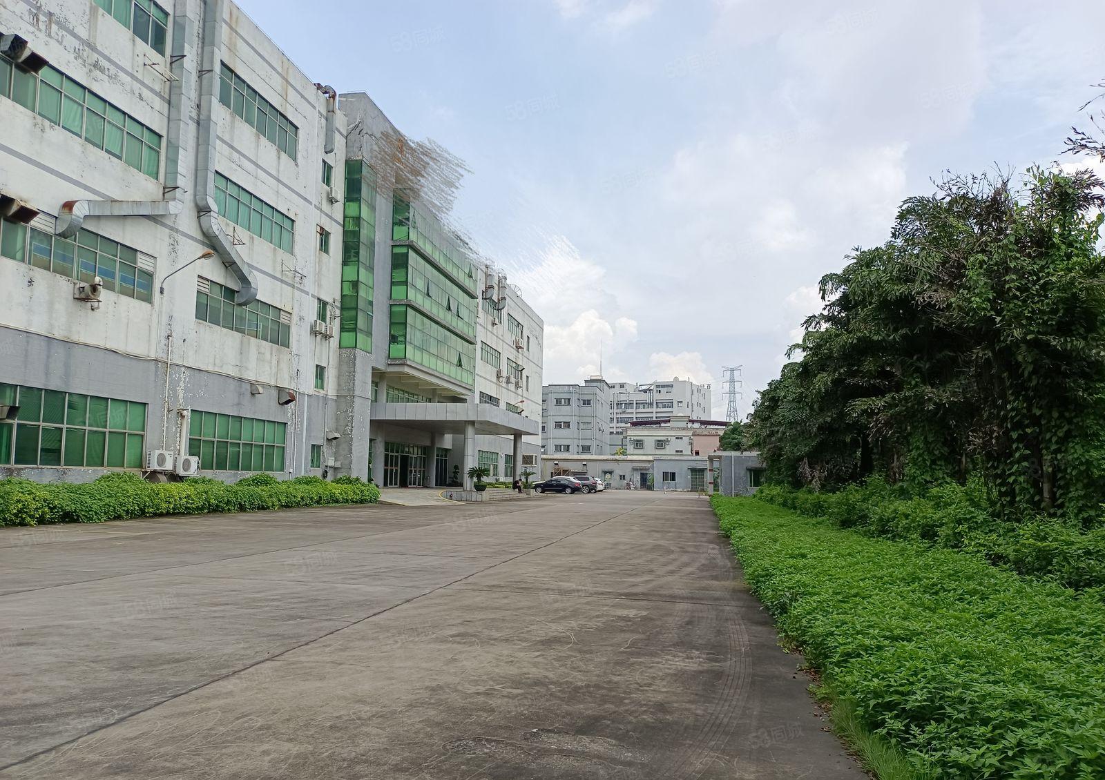 塘厦外环高速口新出独院厂房16500平方原房东直租，可分租！