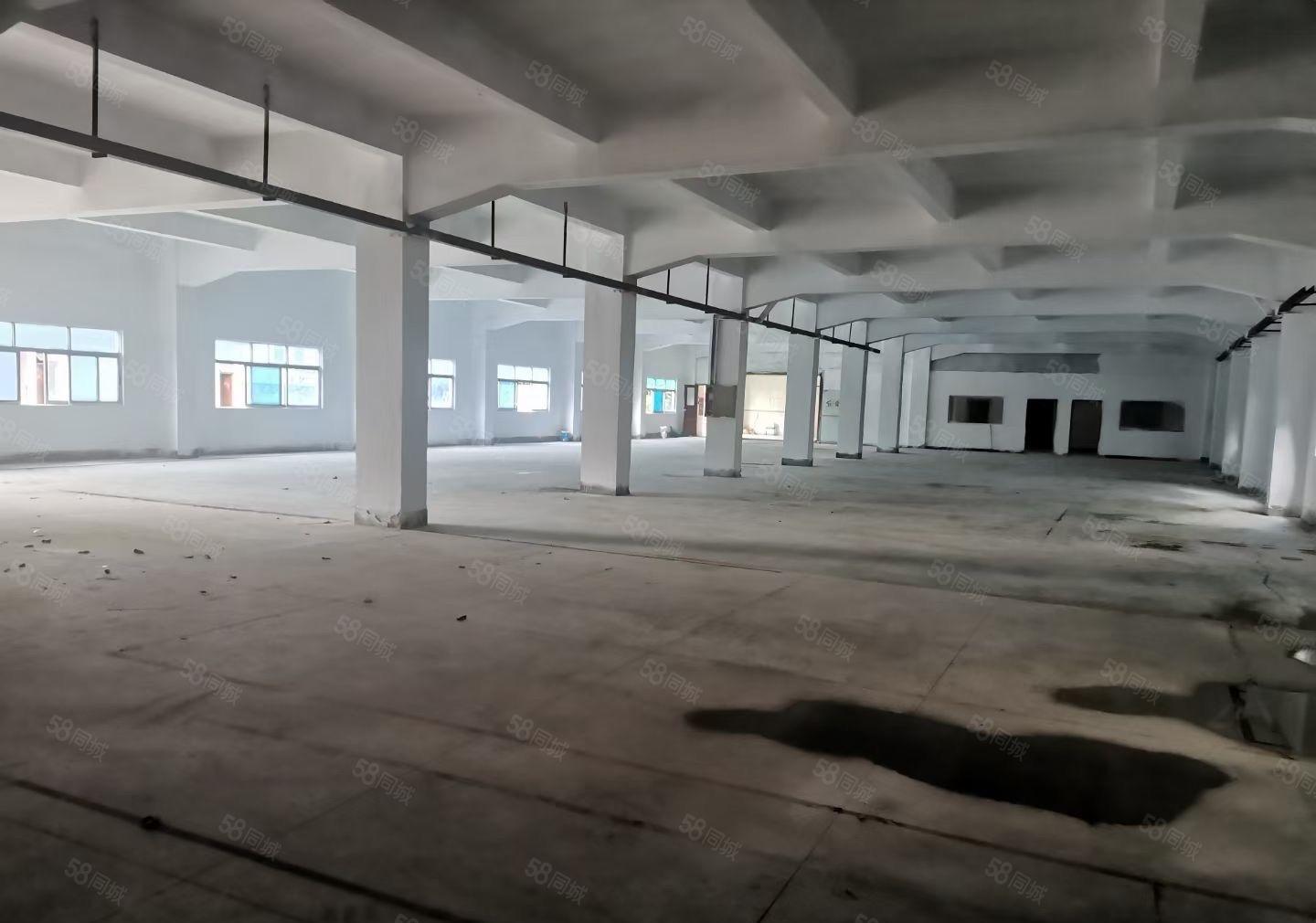 塘厦石潭浦一手房东独院厂房出租空地2000靠近高速出口