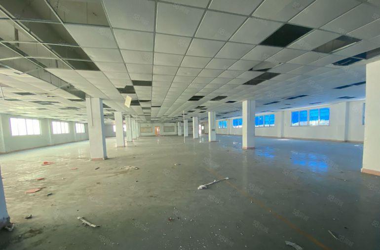 低价空地大塘厦168工业区新厂房装修出租电梯出租300起分组