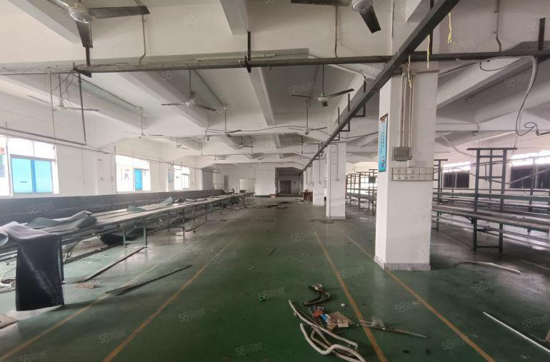 塘厦独院新出楼上1760平标准厂房，带装修水电拎包入近高速