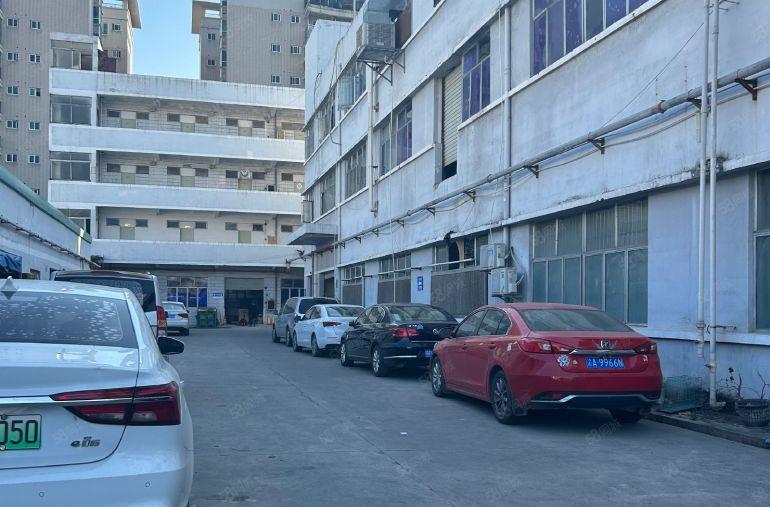 塘厦 原房东 独门独院 经典厂房出租5500平方