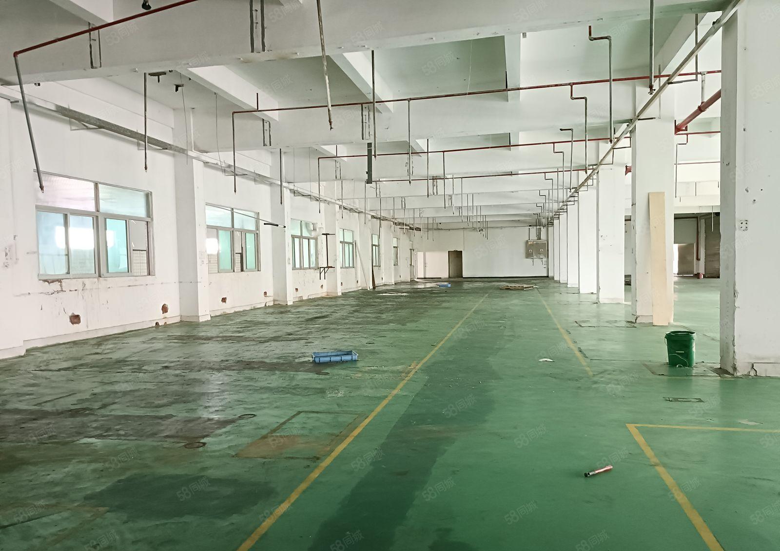 塘厦林村新空出厂房两层3000平，厂房方正利用率高，空地大