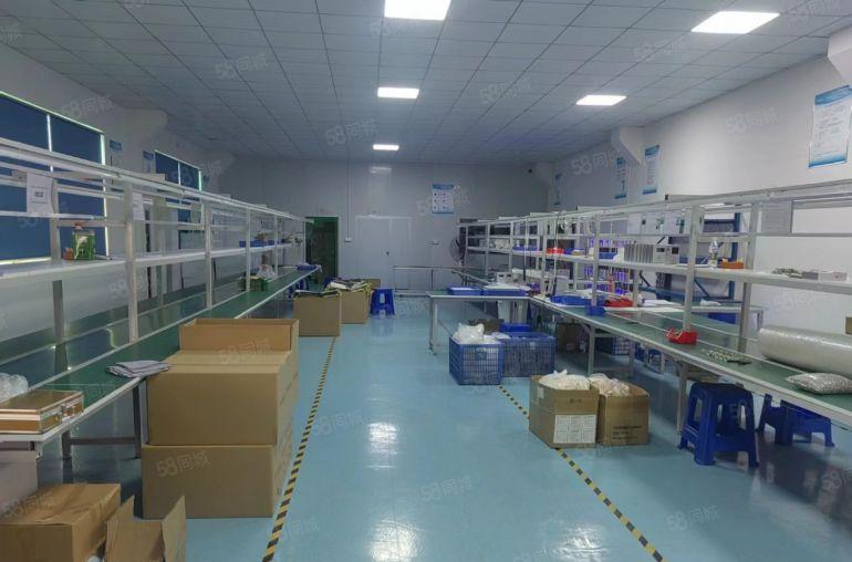 塘厦原房东直租独院4200平方，大小面积可分租，变压器可过户