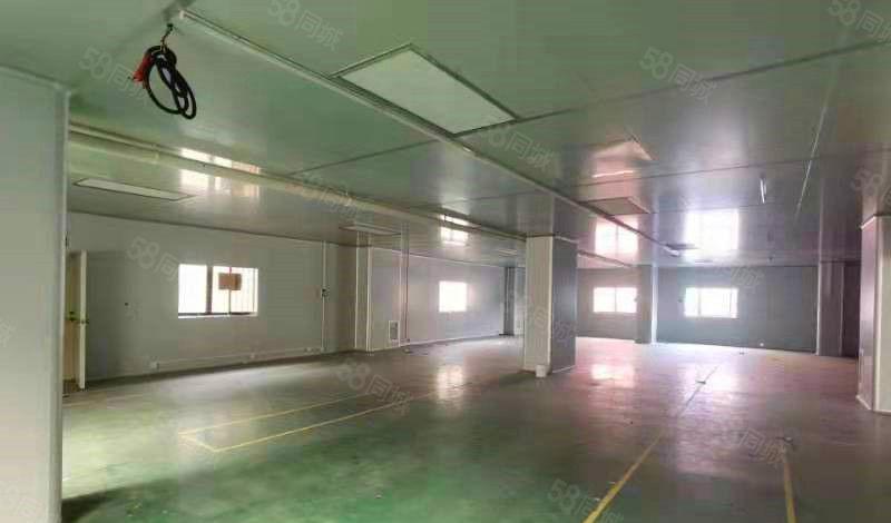 特价特价 15元每平！塘厦科苑城新出1450平 带洁净车间