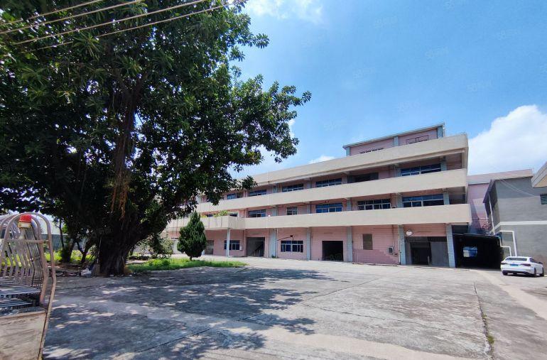 塘厦原房东新出独院两层厂房带现成办公室适合钣金注塑五金设备等