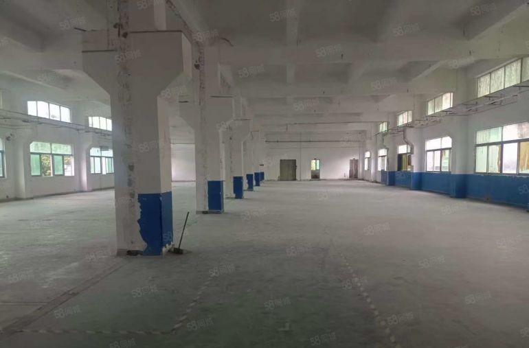 塘厦高速口5300平方独院原房东厂房，无公摊，可做重工业