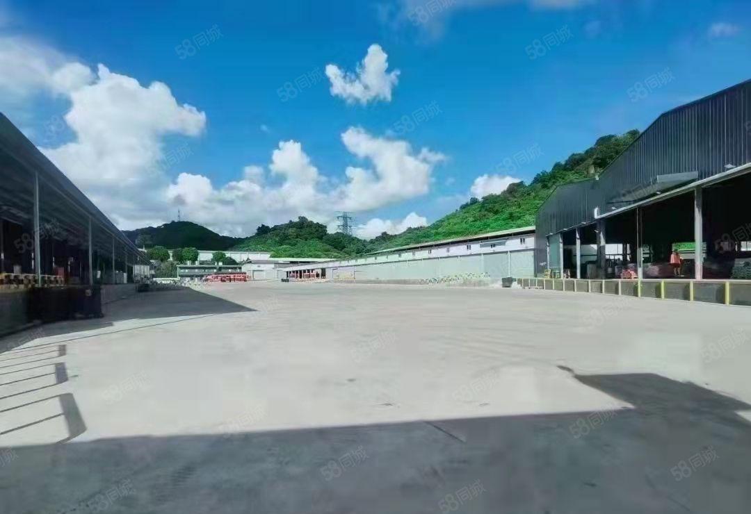 东莞塘厦新出23000平米物流 仓出租