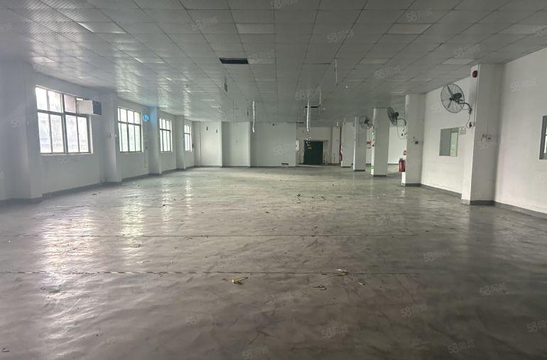 塘厦蛟乙塘独院标准4楼1680平方，全层吊顶地坪漆精装修！