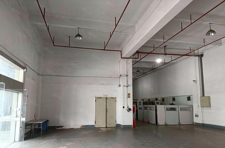 塘厦石潭埔新空出2000平一楼带牛角厂房20招租