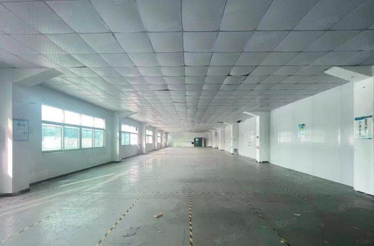 塘厦原房东楼上900平精装修厂房出租 形象好五金电商电子仓库