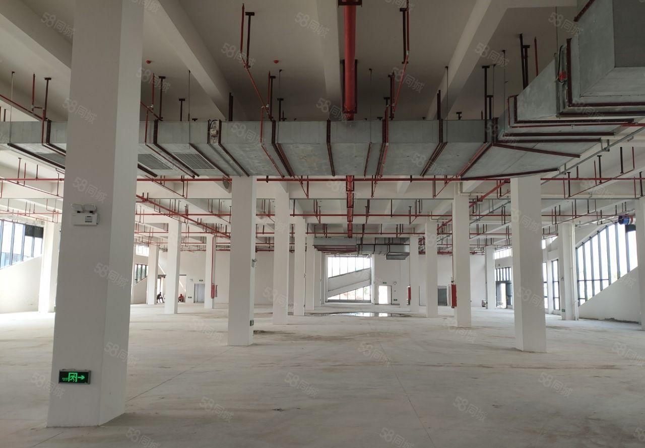 塘厦镇全新独门独院12000平方独门独院高薪企业厂房招租