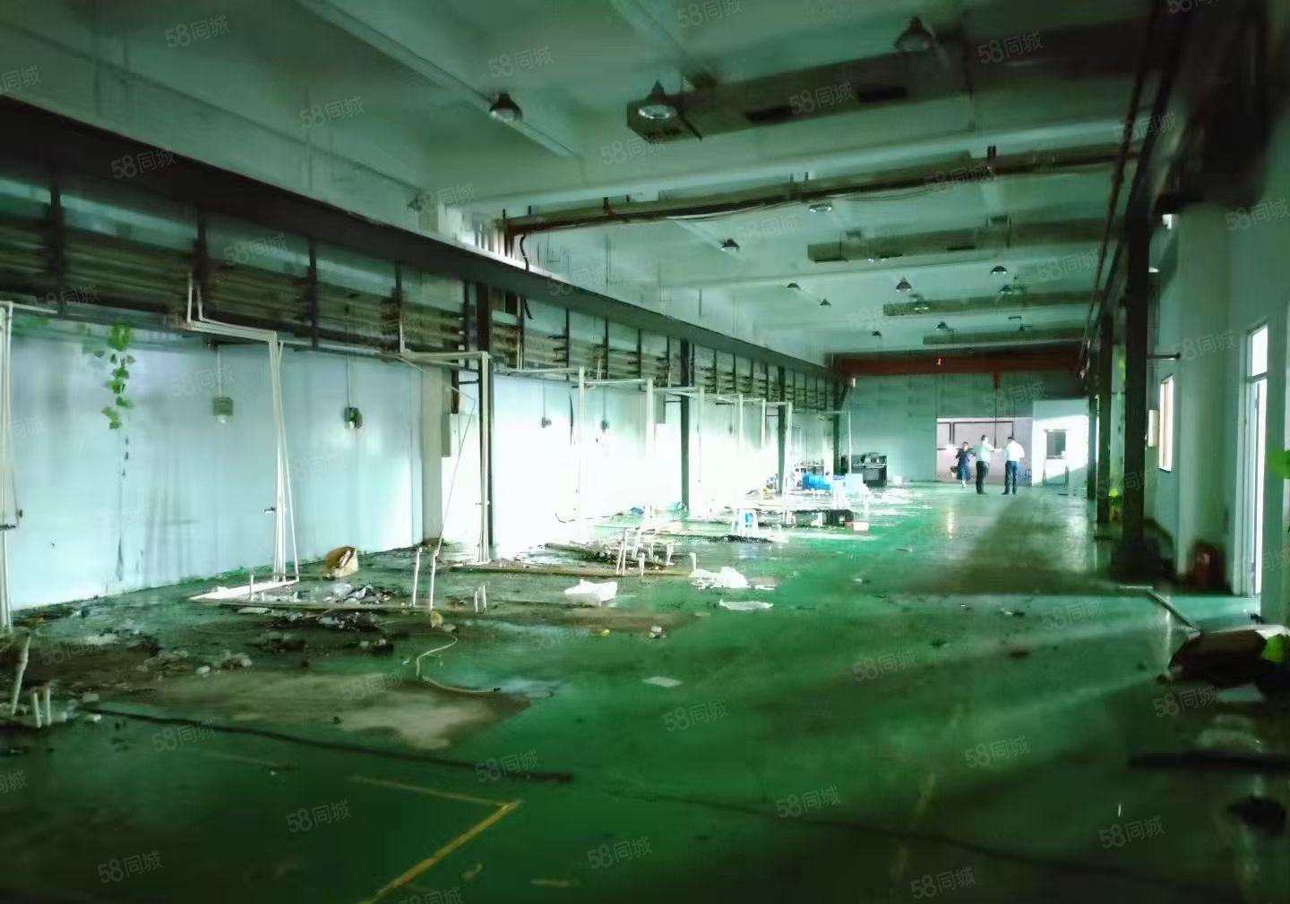 塘厦镇外环高速出口附近原房东一楼2000平方