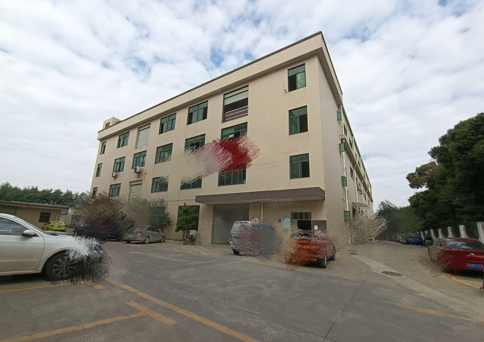 塘厦石鼓新出楼上500平带装修，现成办公室，可低价甩