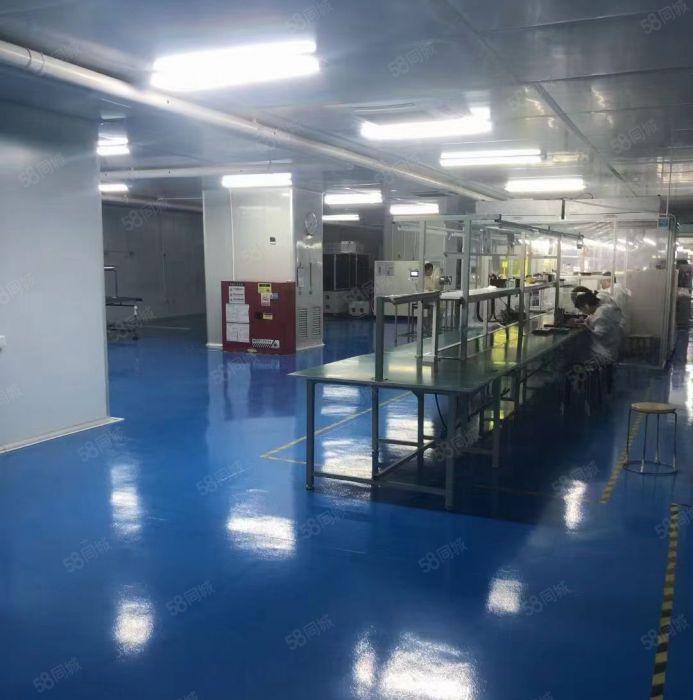 塘厦石马无尘车间480平带精装修厂房仓库出租