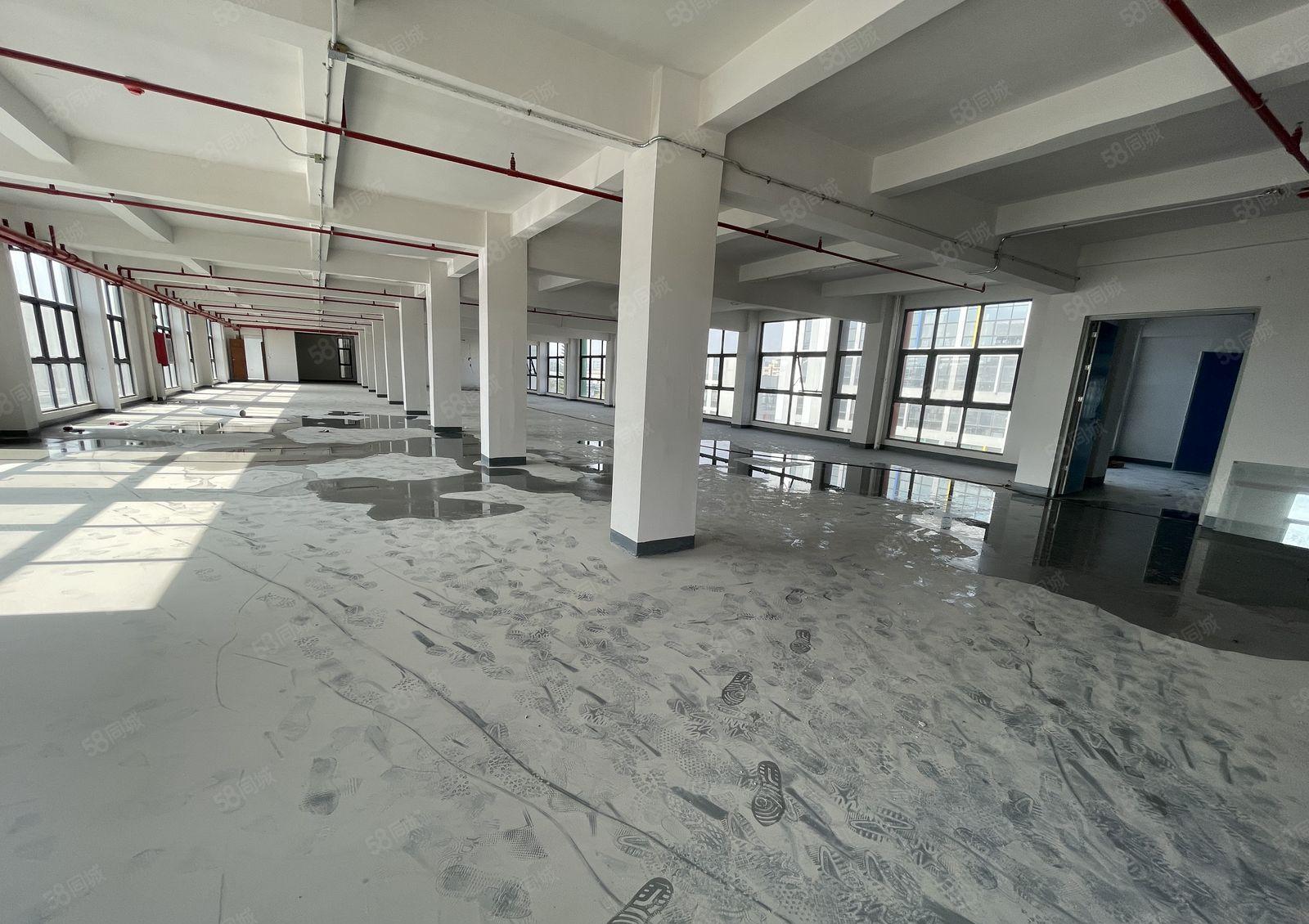 塘厦科苑城标准二楼1800平大型工业园厂房招租，采光好，拎包